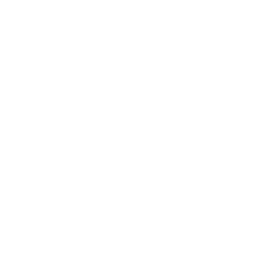 icon_seo